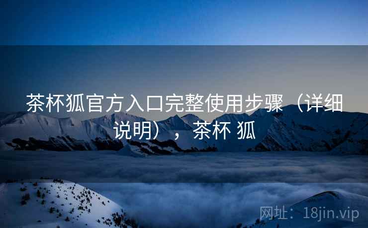 茶杯狐官方入口完整使用步骤（详细说明），茶杯 狐