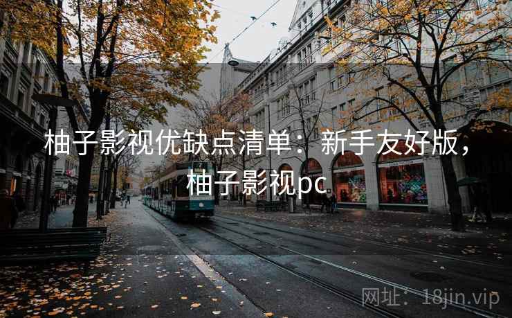 柚子影视优缺点清单：新手友好版，柚子影视pc